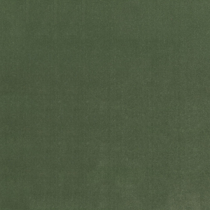 S4155 Fern by Greenhouse Fabric 100% Polyester Indonesia 120,000 </p><p>Repeat: None 56" - Fabric Carolina -