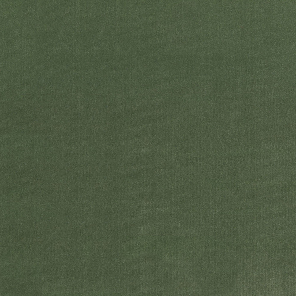 S4155 Fern by Greenhouse Fabric 100% Polyester Indonesia 120,000 double rubs </p><p>Repeat: None 56" - Fabric Carolina -
