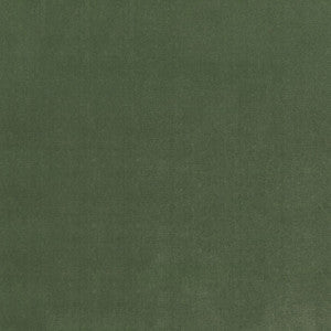 S4155 Fern by Greenhouse Fabric