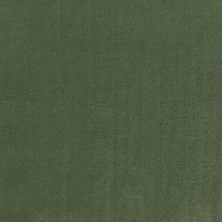 S4155 Fern by Greenhouse Fabric 100% Polyester Indonesia 120,000 double rubs </p><p>Repeat: None 56" - Fabric Carolina -