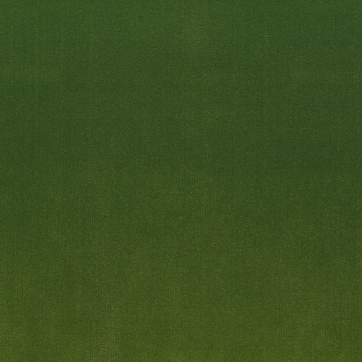 S4160 Lime by Greenhouse Fabric 100% Polyester Indonesia 120,000 </p><p>Repeat: None 56" - Fabric Carolina -