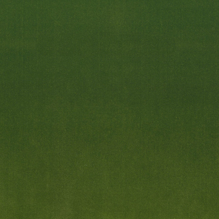 S4160 Lime by Greenhouse Fabric M13: Memos by Color 100% Polyester Indonesia 120,000 double rubs </p><p>Repeat: None 56" - Fabric Carolina -