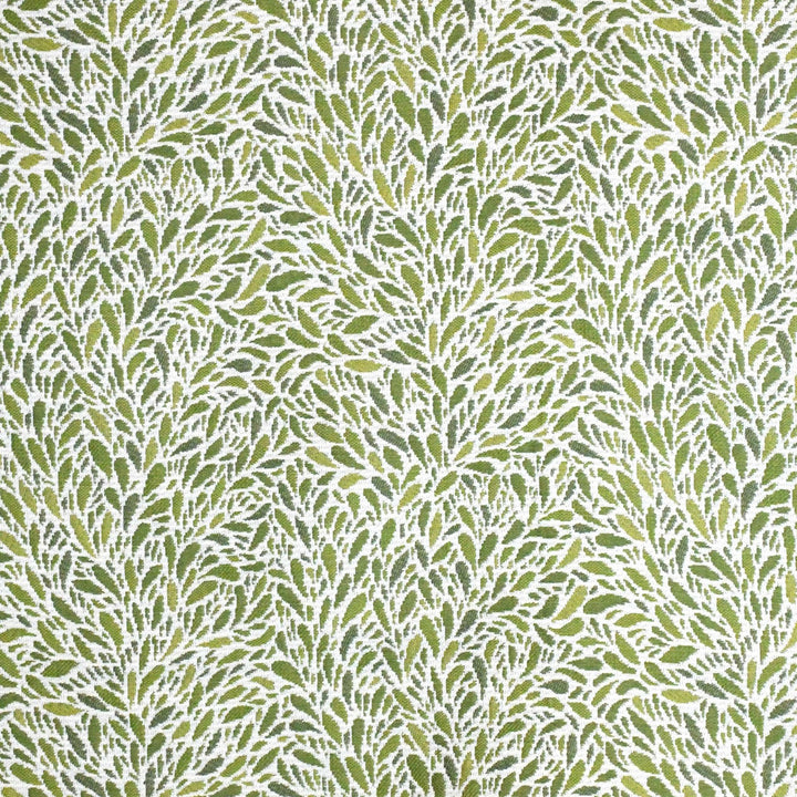 S4165 Leaf by Greenhouse Fabric 100% Polyester China 81,000 double rubs </p><p>Repeat: 13.5" H, 14.5" V 56" - Fabric Carolina -