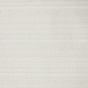 S4191 Salt by Greenhouse Fabric