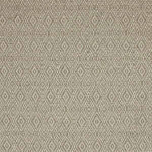 S4196 Desert by Greenhouse Fabric