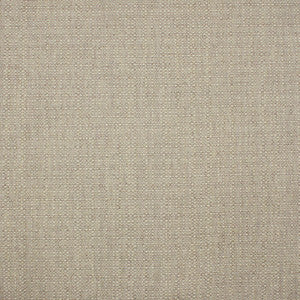 S4202 Nutshell by Greenhouse Fabric