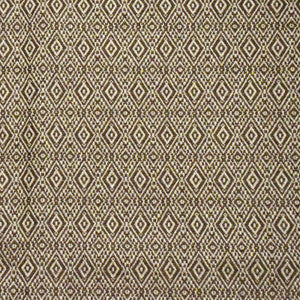 S4217 Earth by Greenhouse Fabric