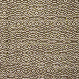 S4217 Earth by Greenhouse Fabric
