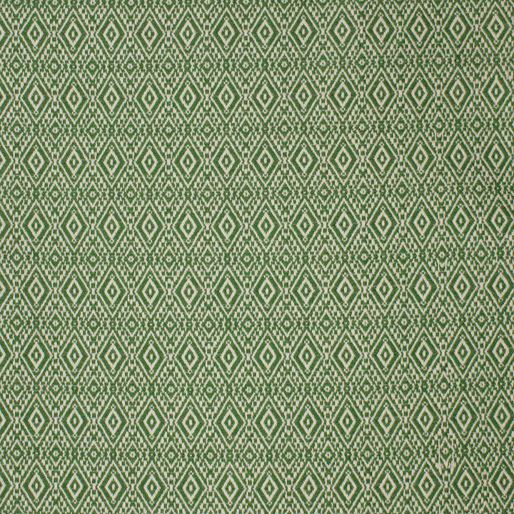 S4222 Leaf by Greenhouse Fabric S56: Performance Cotton 70% Cotton, 30% Polyester USA 40,000 double rubs Crypton </p><p>Repeat: 1.462" H, .0875" V 54" - Fabric Carolina -