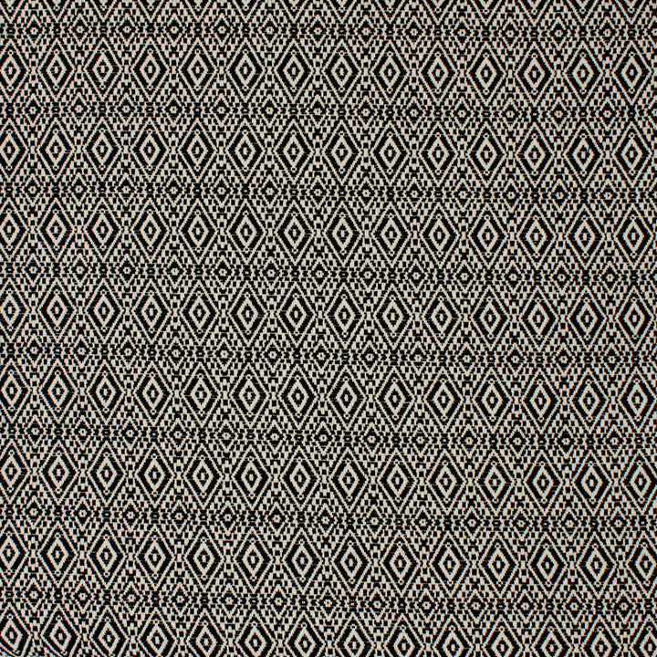 S4244 Noir by Greenhouse Designer Fabric 70% Cotton, 30% Polyester USA 40,000 </p><p>Repeat: 1.462" H, .0875" V 54" - Swanky Fabrics -
