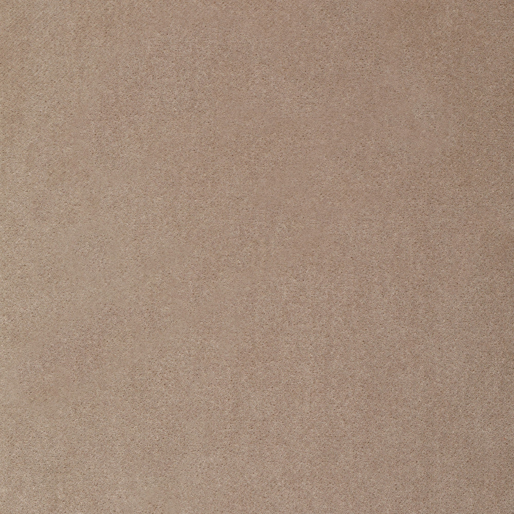 S4350 Linen by Greenhouse Fabric S61: Crypton Velvet 100% Polyester India 50,000 double rubs Soil Resistant </p><p>Repeat: None 54" - Fabric Carolina -
