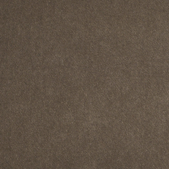 S4351 Taupe by Greenhouse Designer Fabric 100% Polyester India 50,000 </p><p>Repeat: None 54" - Swanky Fabrics -