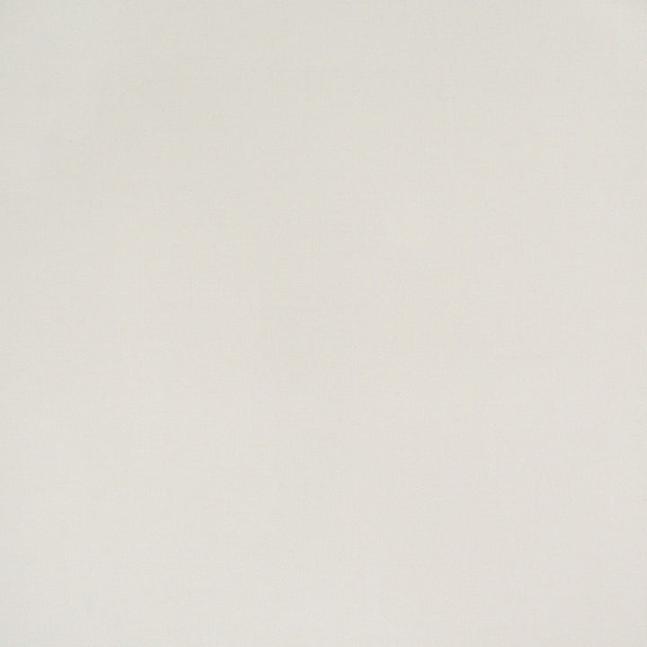 S4408 Ivory by Greenhouse Fabric 100% Polyester China 63,000 </p><p>Repeat: None 56" - Fabric Carolina -