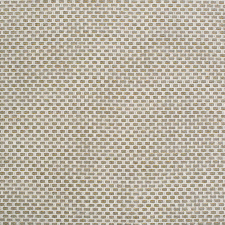 S4439 Birch by Greenhouse Fabric 98.28% Polyester (Uv), 1.72% Pcr Polyester (Uv) USA 63,000 </p><p>Repeat: .5" H, .5" V 58" - Fabric Carolina -