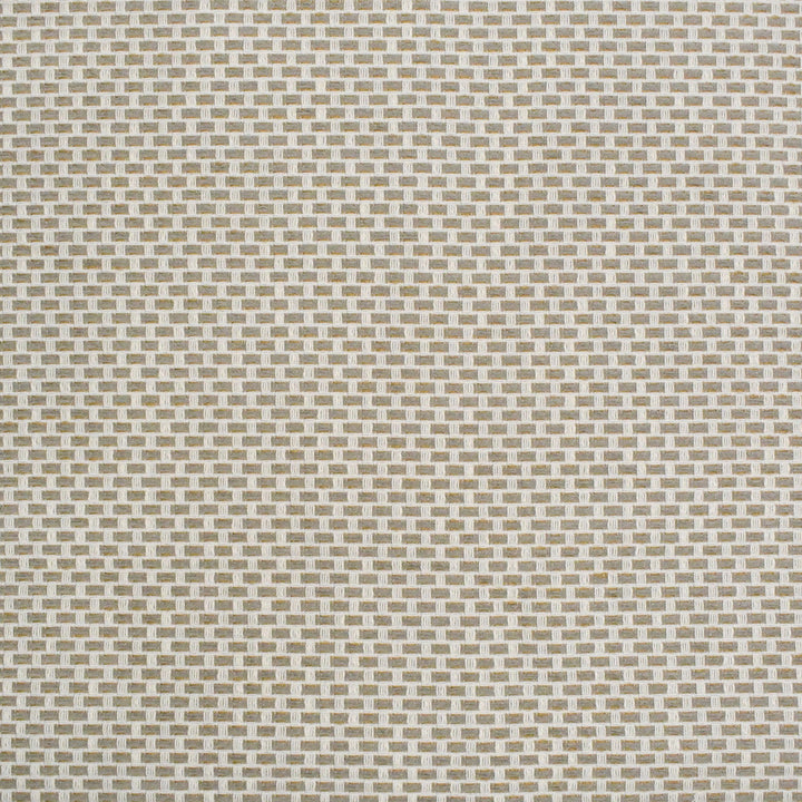 S4439 Birch by Greenhouse Designer Fabric S62: Outdoor Performance 98.28% Polyester (Uv), 1.72% Pcr Polyester (Uv) USA 63,000 double rubs </p><p>Repeat: .5" H, .5" V 58" - Swanky Fabrics -