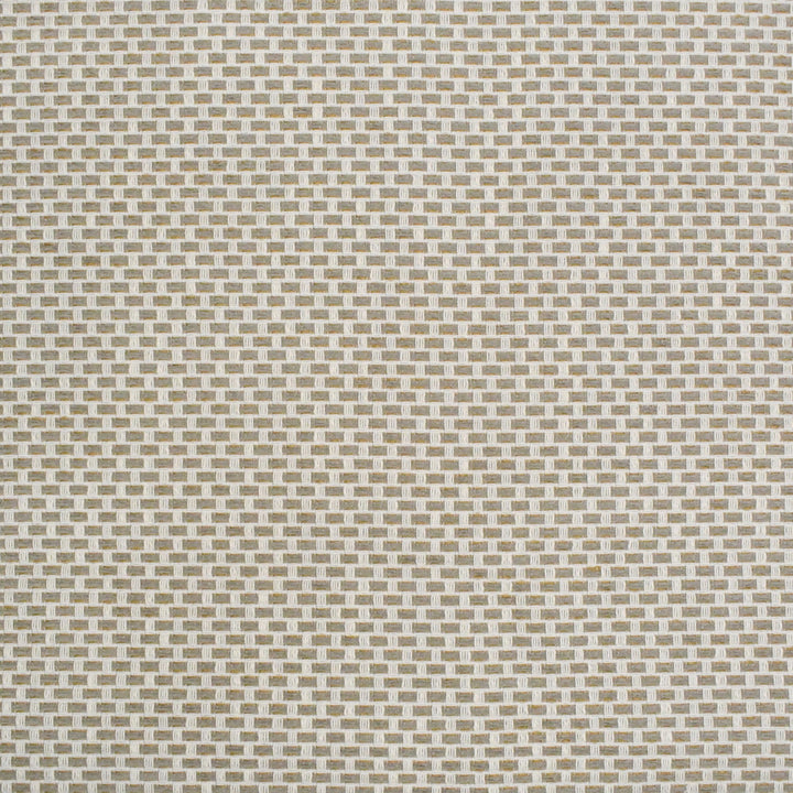 S4439 Birch by Greenhouse Fabric S62: Outdoor Performance 98.28% Polyester (Uv), 1.72% Pcr Polyester (Uv) USA 63,000 double rubs </p><p>Repeat: .5" H, .5" V 58" - Fabric Carolina -