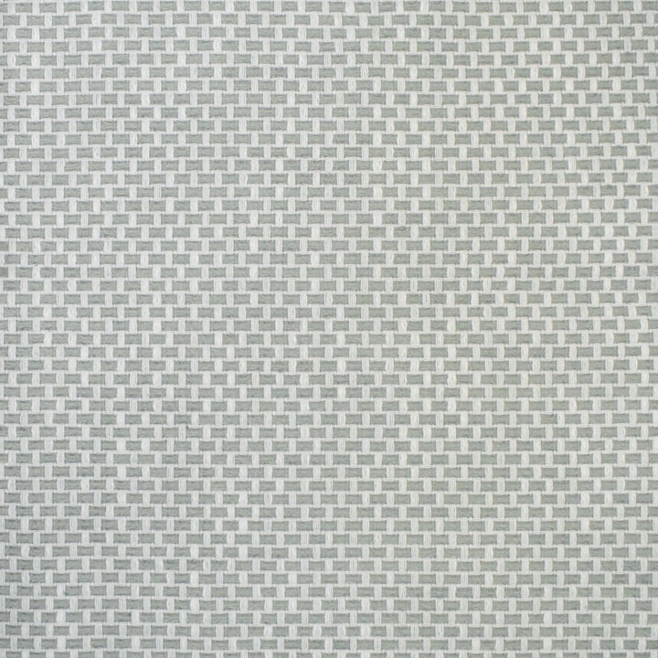 S4464 Celadon by Greenhouse Fabric 98.28% Polyester (Uv), 1.72% Pcr Polyester (Uv) USA 63,000 </p><p>Repeat: .5" H, .5" V 58" - Fabric Carolina -
