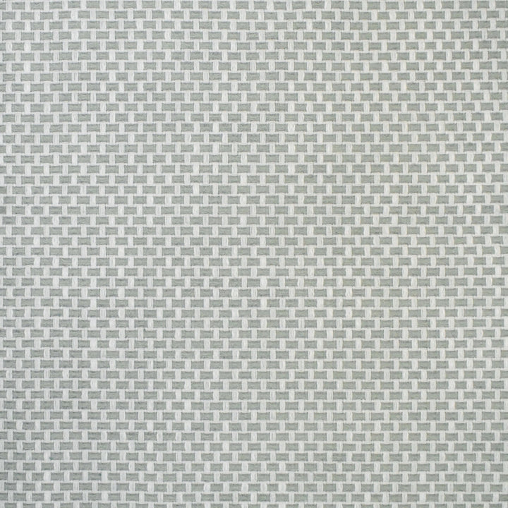 S4464 Celadon by Greenhouse Fabric S63: Outdoor Performance 98.28% Polyester (Uv), 1.72% Pcr Polyester (Uv) USA 63,000 double rubs </p><p>Repeat: .5" H, .5" V 58" - Fabric Carolina -