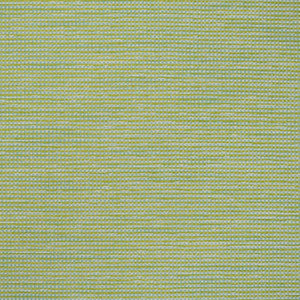 S4546 Capri by Greenhouse Fabric