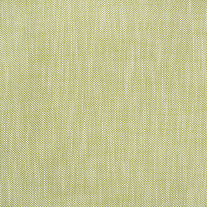 S4551 Palm by Greenhouse Fabric
