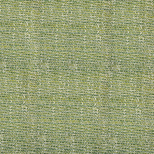 S4557 Endive by Greenhouse Fabric
