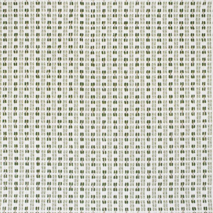 S4560 Celadon by Greenhouse Fabric 80.02% Polyester (Uv), 19.98% Olefin USA 63,000 </p><p>Repeat: .75" H, .625" V 56" - Fabric Carolina -
