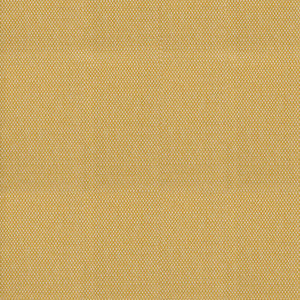 S4587 Amber by Greenhouse Fabric