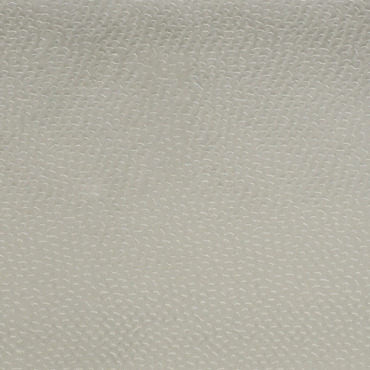 S4710 Nimbus by Greenhouse Fabric 59% Polyester, 40% Cotton, 1% Lycra India 51,000 </p><p>Repeat: 9.33" H, 13.33" V 55" - Fabric Carolina -