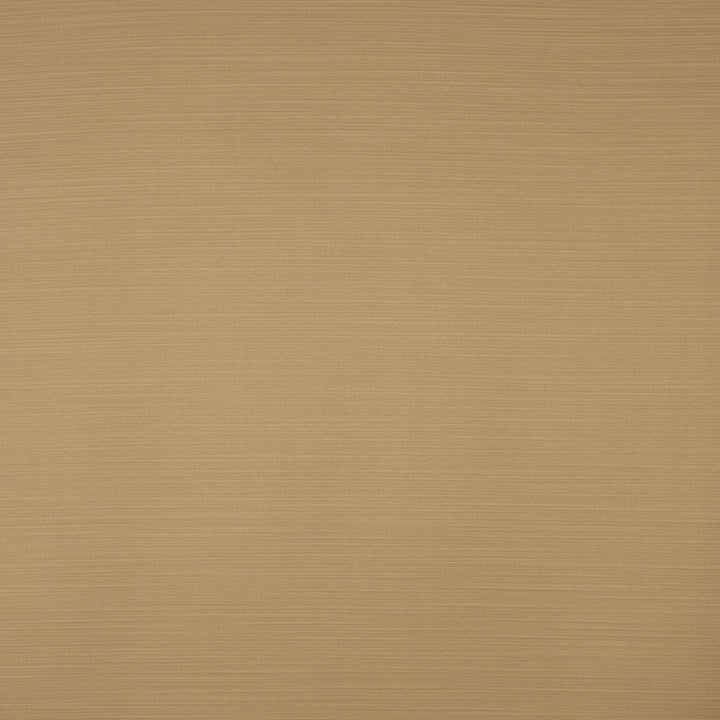 S4734 Cork by Greenhouse Fabric 100% Polyester India 35,000 </p><p>Repeat: None 55" - Fabric Carolina -