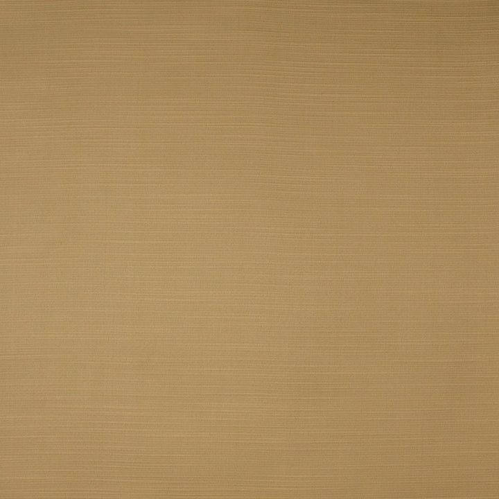 S4735 Sand by Greenhouse Fabric 100% Polyester India 35,000 </p><p>Repeat: None 55" - Fabric Carolina -