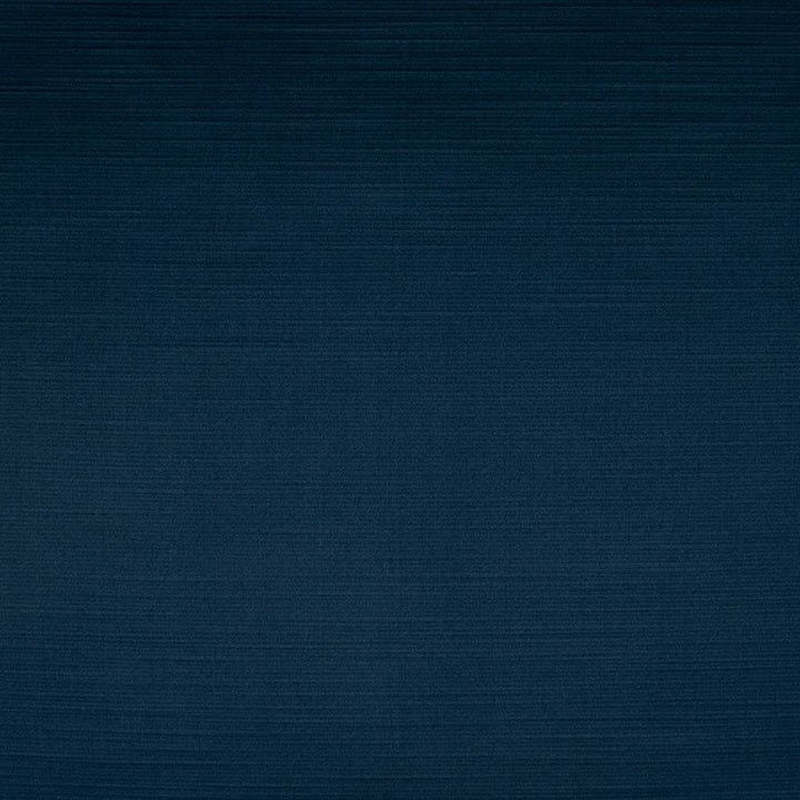 S4764 Marine by Greenhouse Fabric 100% Polyester India 35,000 </p><p>Repeat: None 55" - Fabric Carolina -