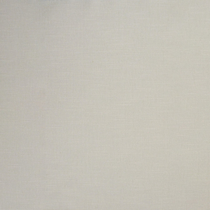 S4770 Oyster by Greenhouse Designer Fabric S68: Performance Chenille 62% Polyester, 38% Cotton India 51,000 double rubs Water & Soil Repellent </p><p>Repeat: None 54" - Swanky Fabrics -