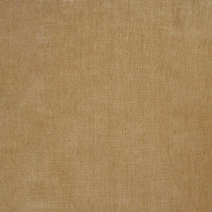 S4771 Champagne by Greenhouse Designer Fabric 62% Polyester, 38% Cotton India 51,000 </p><p>Repeat: None 54" - Swanky Fabrics -