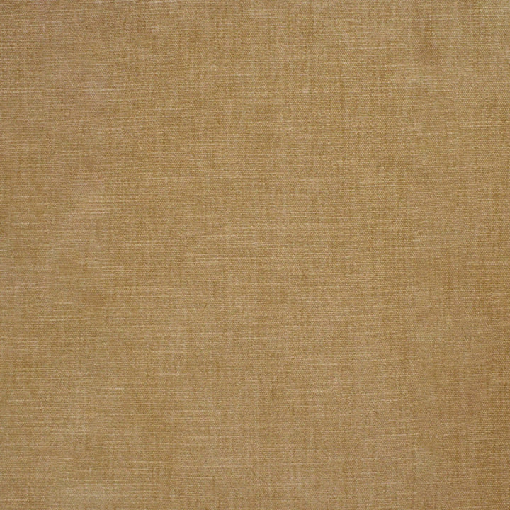 S4771 Champagne by Greenhouse Designer Fabric S68: Performance Chenille 62% Polyester, 38% Cotton India 51,000 double rubs Water & Soil Repellent </p><p>Repeat: None 54" - Swanky Fabrics -