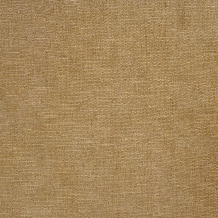 S4771 Champagne by Greenhouse Fabric S68: Performance Chenille 62% Polyester, 38% Cotton India 51,000 double rubs Water & Soil Repellent </p><p>Repeat: None 54" - Fabric Carolina -