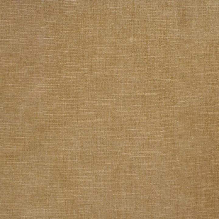 S4771 Champagne by Greenhouse Fabric 62% Polyester, 38% Cotton India 51,000 </p><p>Repeat: None 54" - Fabric Carolina -