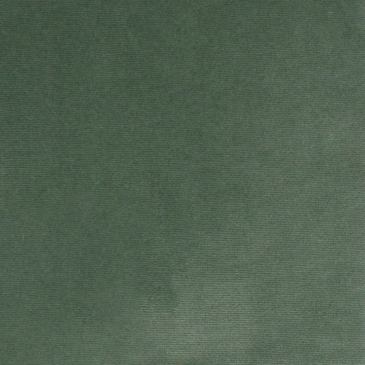 S4862 Aloe by Greenhouse Designer Fabric S70: Moss 100% Polyester Turkey 51,000 double rubs Water & Soil Repellent </p><p>Repeat: None 55" - Swanky Fabrics -