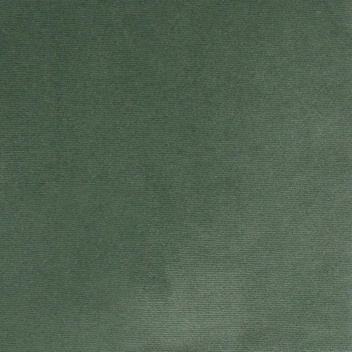 S4862 Aloe by Greenhouse Fabric S70: Moss 100% Polyester Turkey 51,000 double rubs Water & Soil Repellent </p><p>Repeat: None 55" - Fabric Carolina -