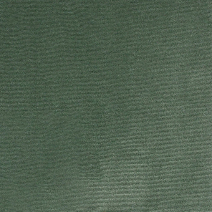 S4862 Aloe by Greenhouse Designer Fabric 100% Polyester Turkey 51,000 </p><p>Repeat: None 55" - Swanky Fabrics -