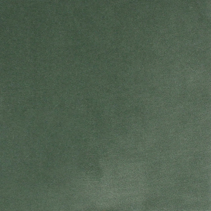 S4862 Aloe by Greenhouse Fabric 100% Polyester Turkey 51,000 </p><p>Repeat: None 55" - Fabric Carolina -