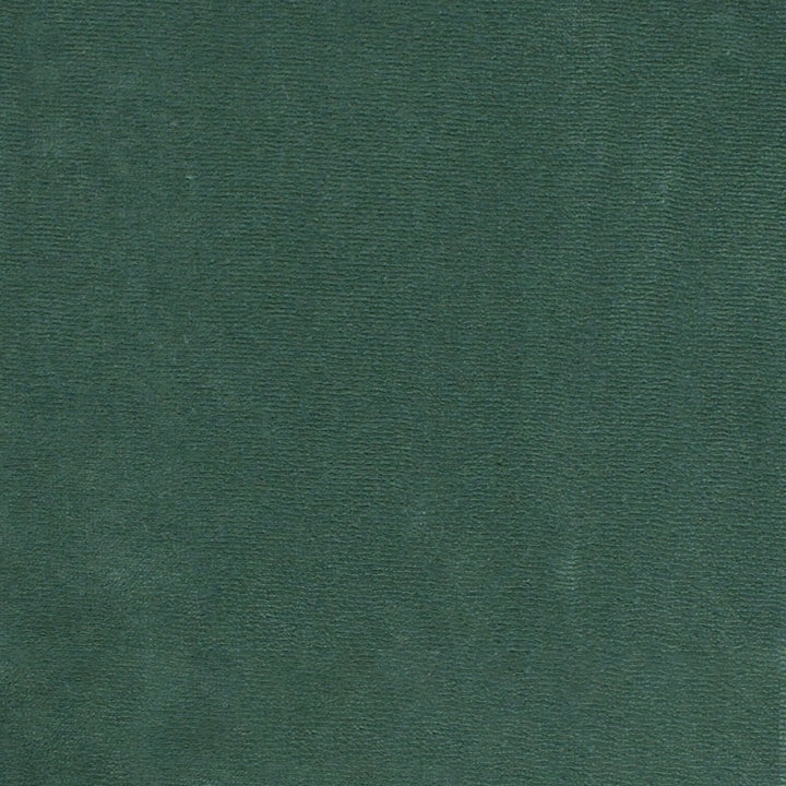S4870 Seaglass by Greenhouse Fabric S70: Moss 100% Polyester Turkey 51,000 double rubs Water & Soil Repellent </p><p>Repeat: None 55" - Fabric Carolina -