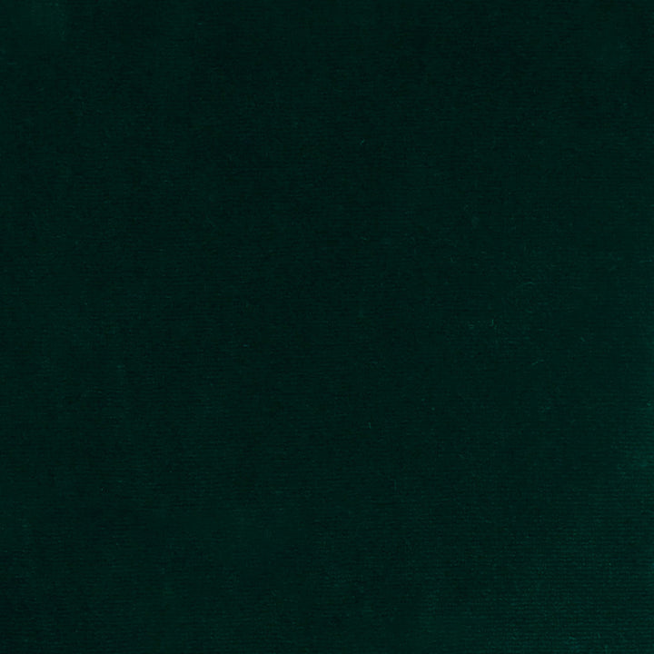 S4898 Hunter by Greenhouse Fabric 100% Polyester Turkey 51,000 </p><p>Repeat: None 55" - Fabric Carolina -