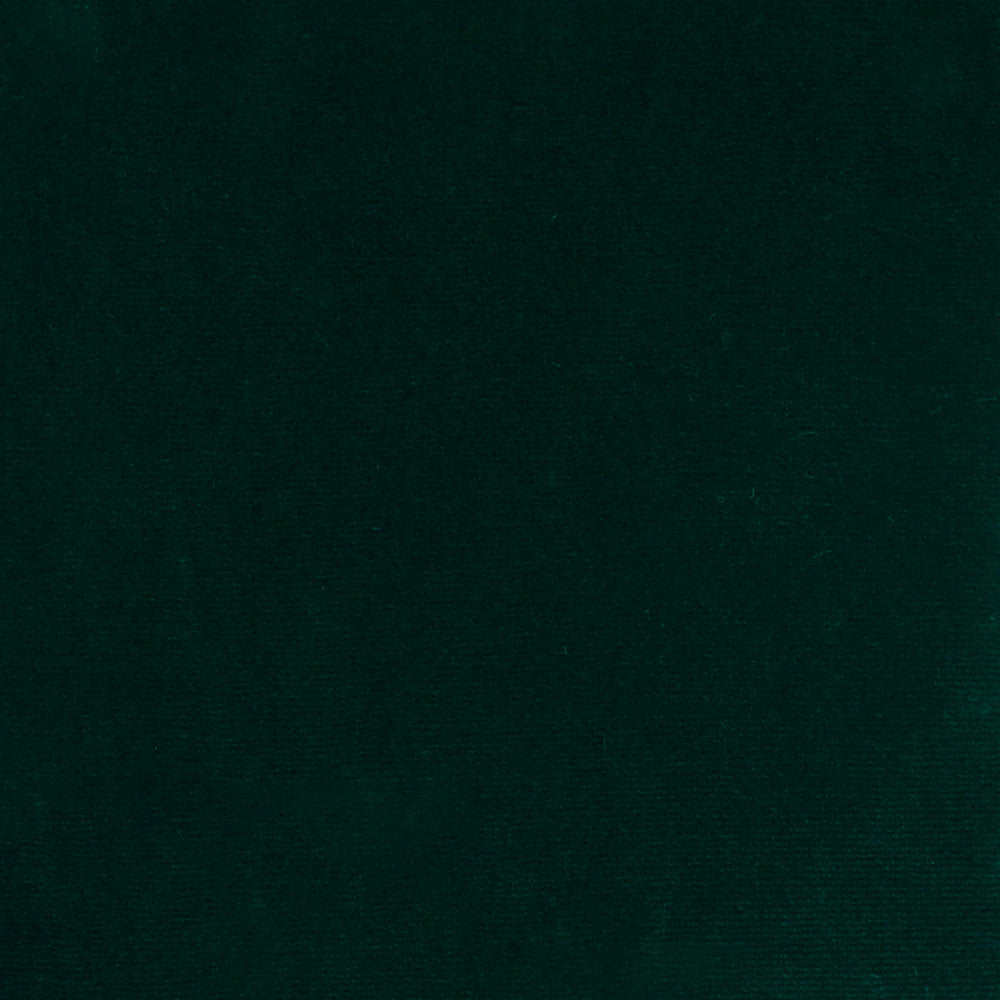 S4898 Hunter by Greenhouse Fabric S70: Moss 100% Polyester Turkey 51,000 double rubs Water & Soil Repellent </p><p>Repeat: None 55" - Fabric Carolina -