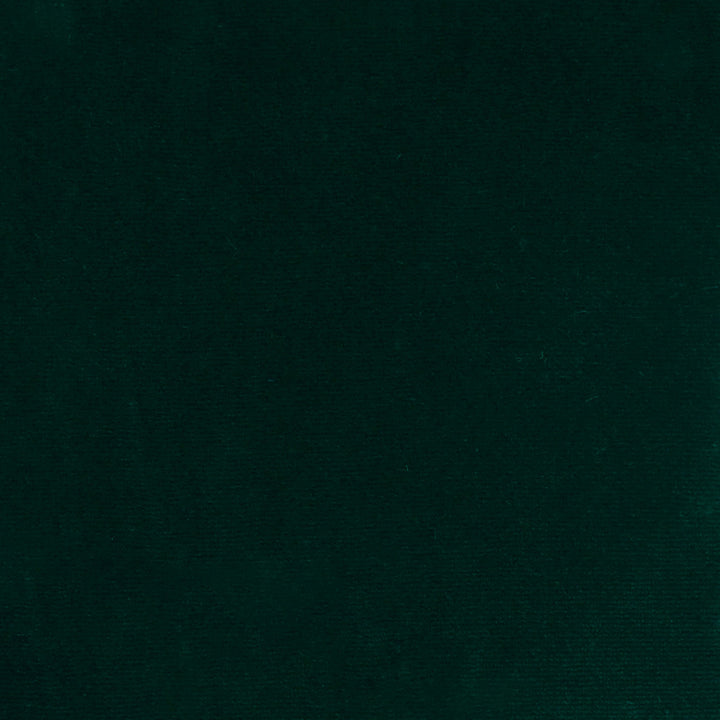 S4898 Hunter by Greenhouse Fabric S70: Moss 100% Polyester Turkey 51,000 double rubs Water & Soil Repellent </p><p>Repeat: None 55" - Fabric Carolina -