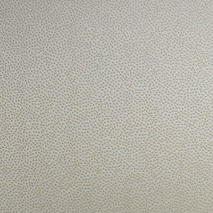 S4960 Ecru by Greenhouse Fabric