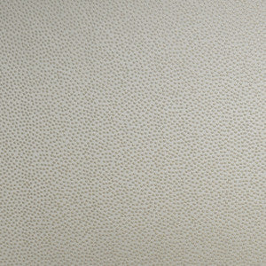 S4960 Ecru by Greenhouse Fabric