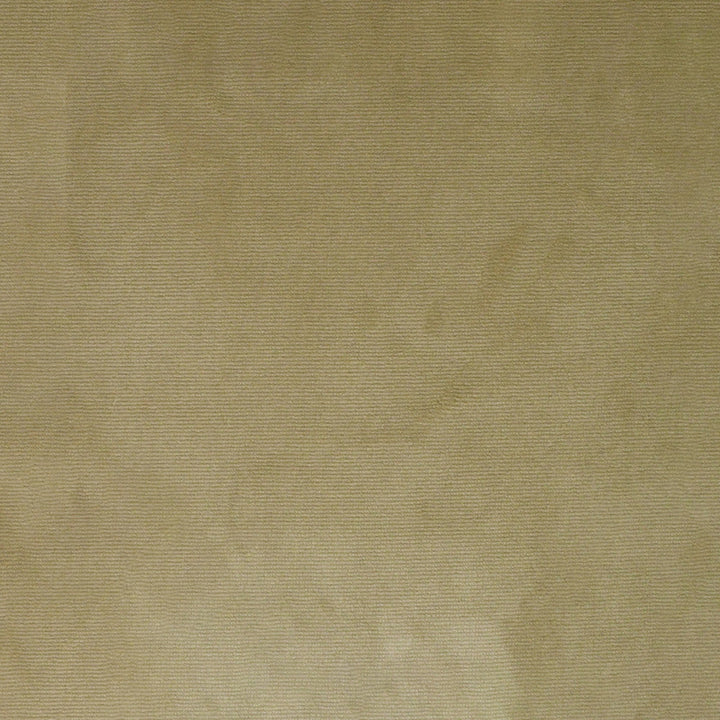 S4983 Champagne by Greenhouse Designer Fabric S72: Fawn 100% Polyester Turkey 51,000 double rubs Water & Soil Repellent </p><p>Repeat: None 55" - Swanky Fabrics -
