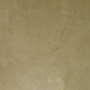 S4983 Champagne by Greenhouse Fabric