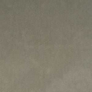 S5014 Vapor by Greenhouse Fabric