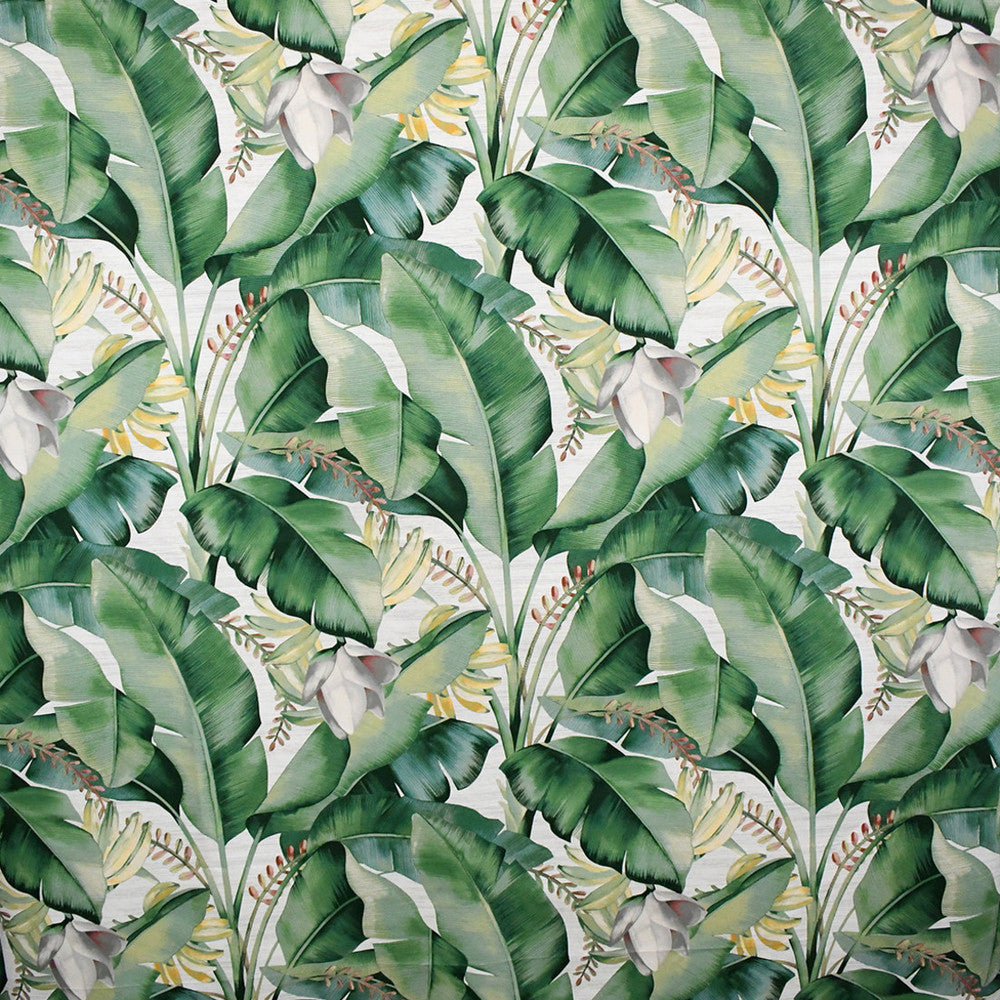 S5085 Aloe by Greenhouse Fabric 100% Cotton Peru 17,000 </p><p>Repeat: 13.5" H, 25.25" V 54" - Fabric Carolina -